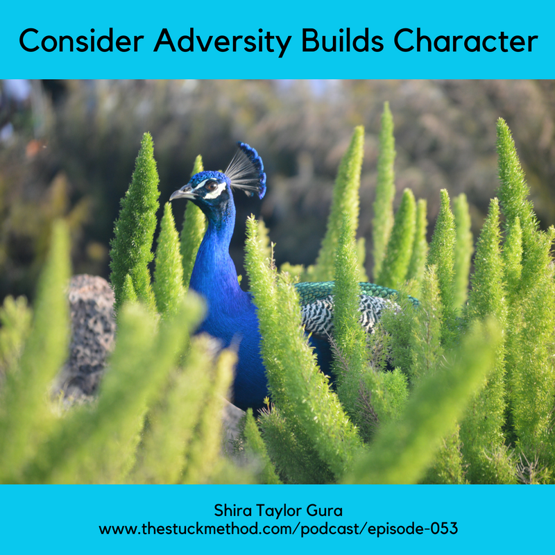 053: Consider Adversity Builds Character