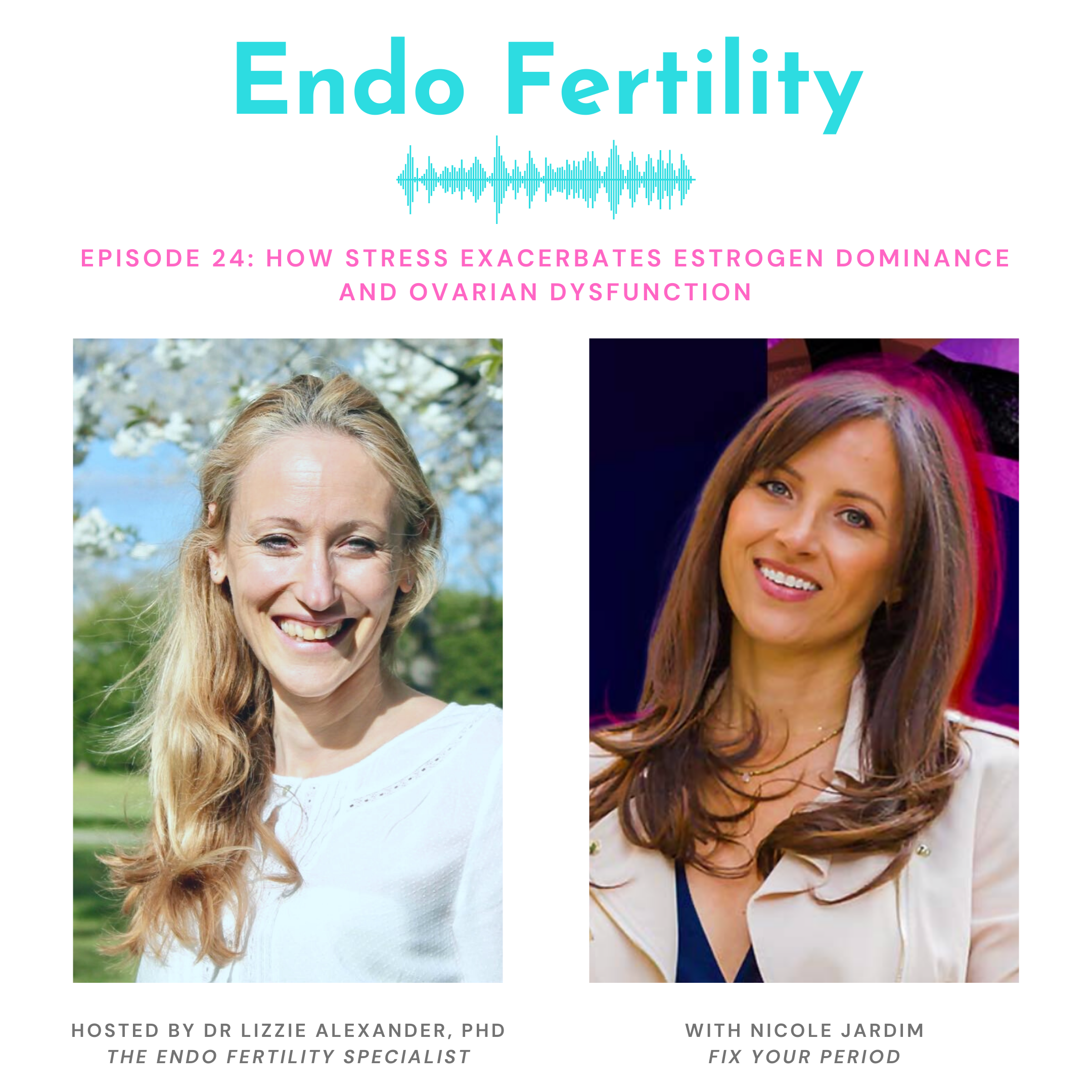 Endo Fertility