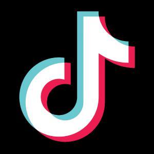 WTF is going on with TikTok?