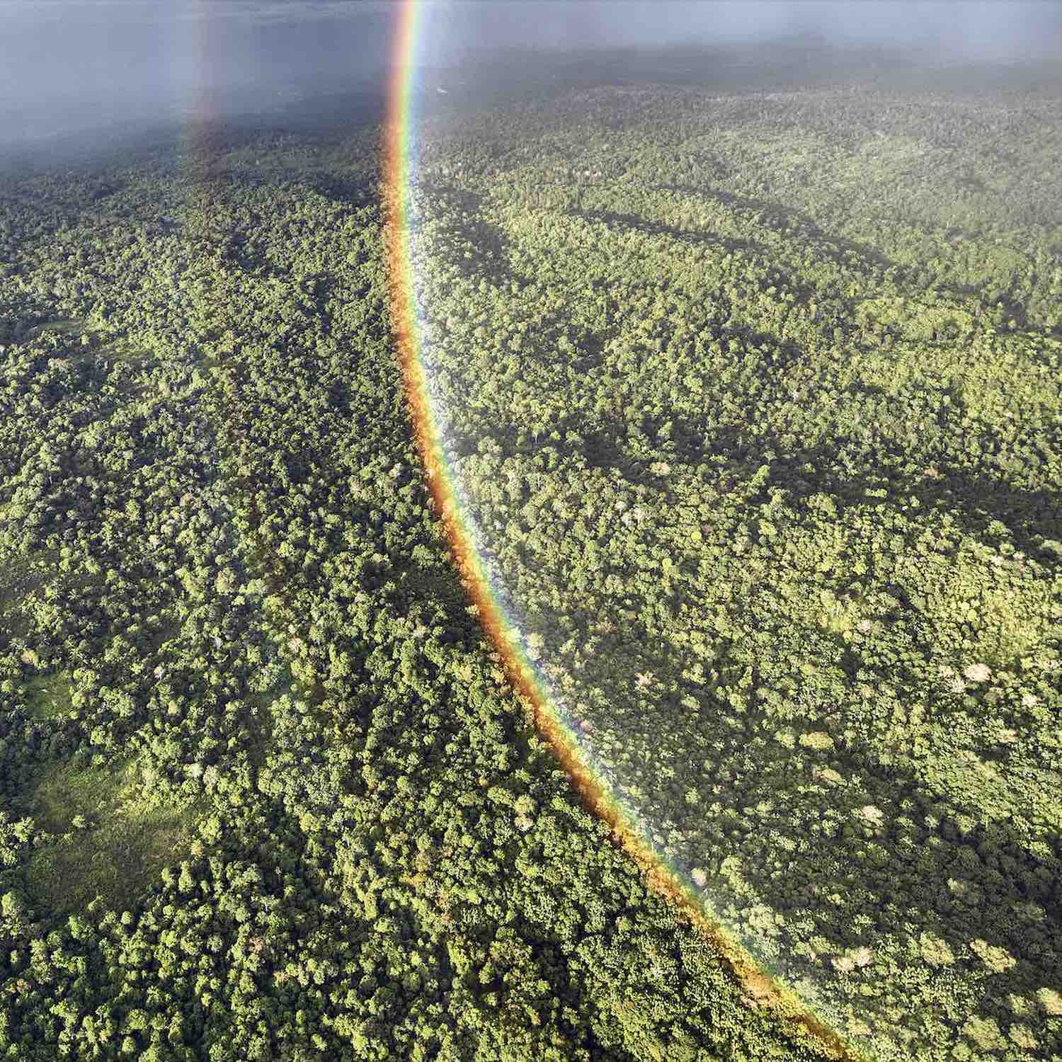 Mongabay Newscast