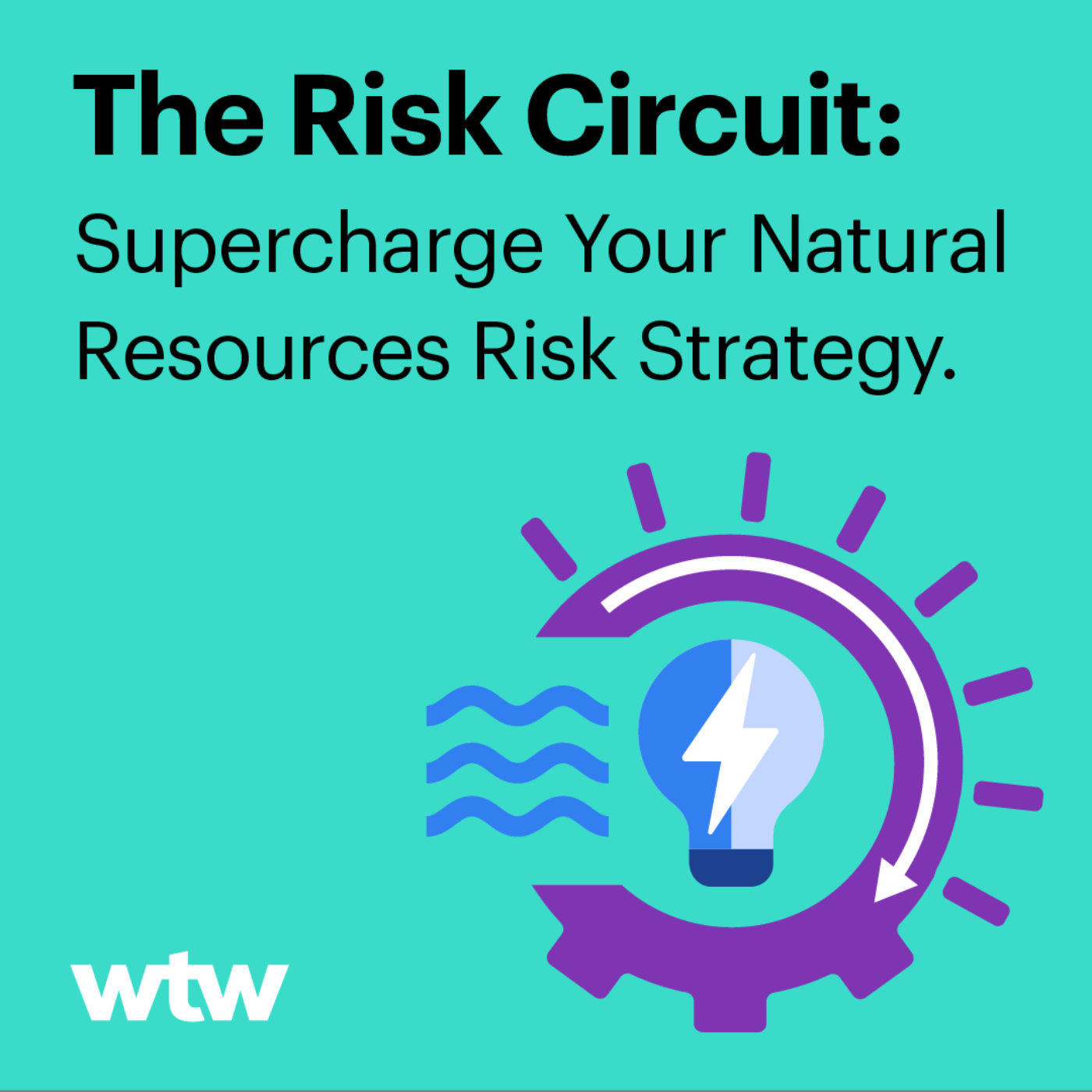 The Risk Circuit