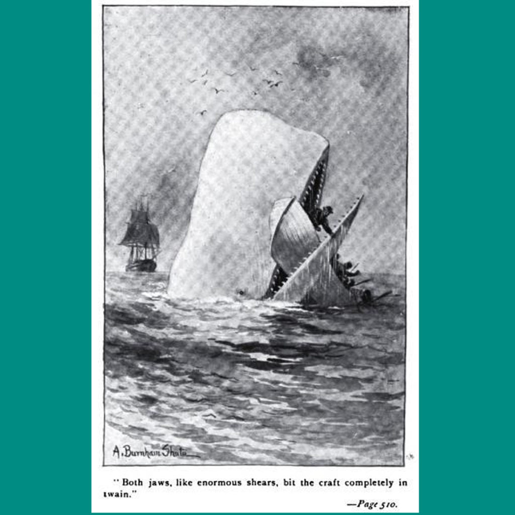 Not So Gentle Whales