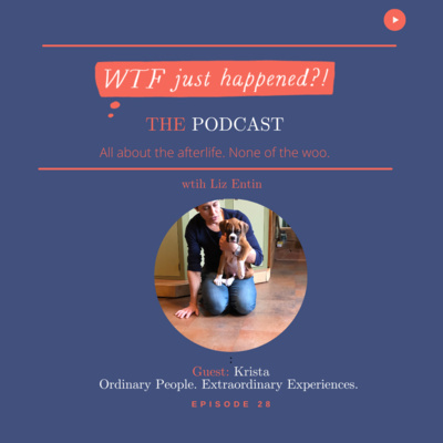 WTF Just Happened?!: All about the afterlife. No woo.