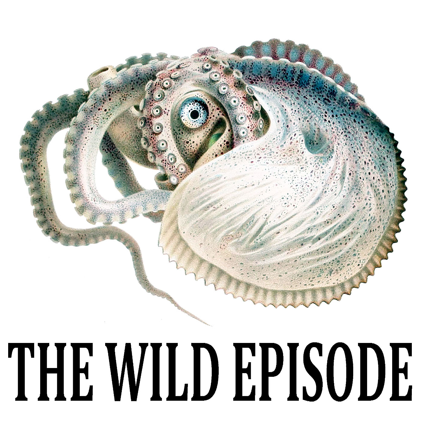 The Wild Episode