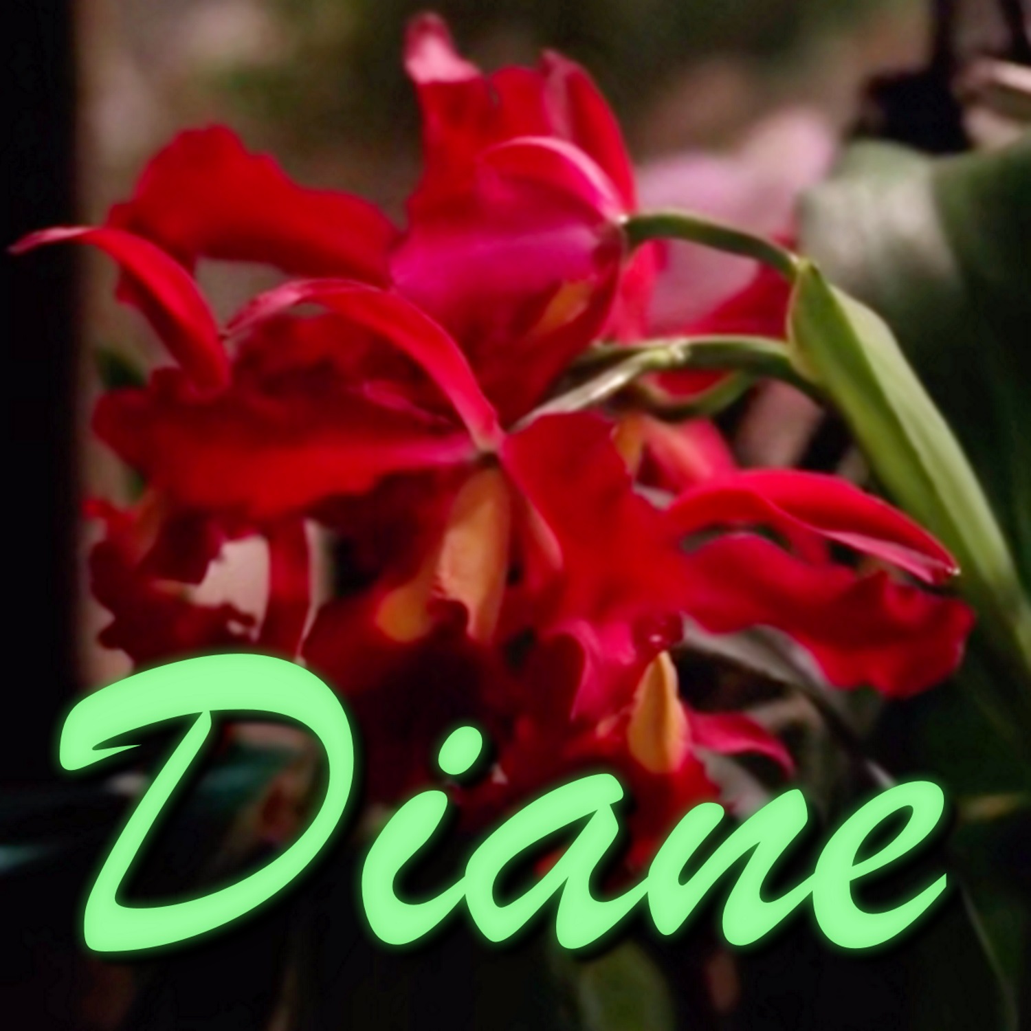 Diane: Entering the town of Twin Peaks
