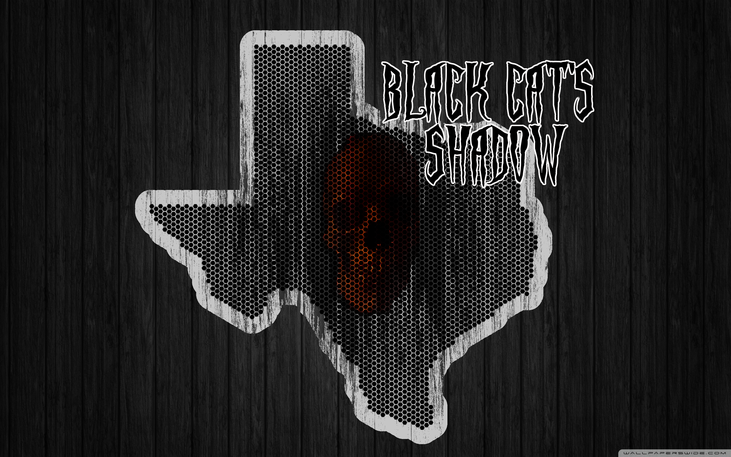Black Cat\'s Shadow