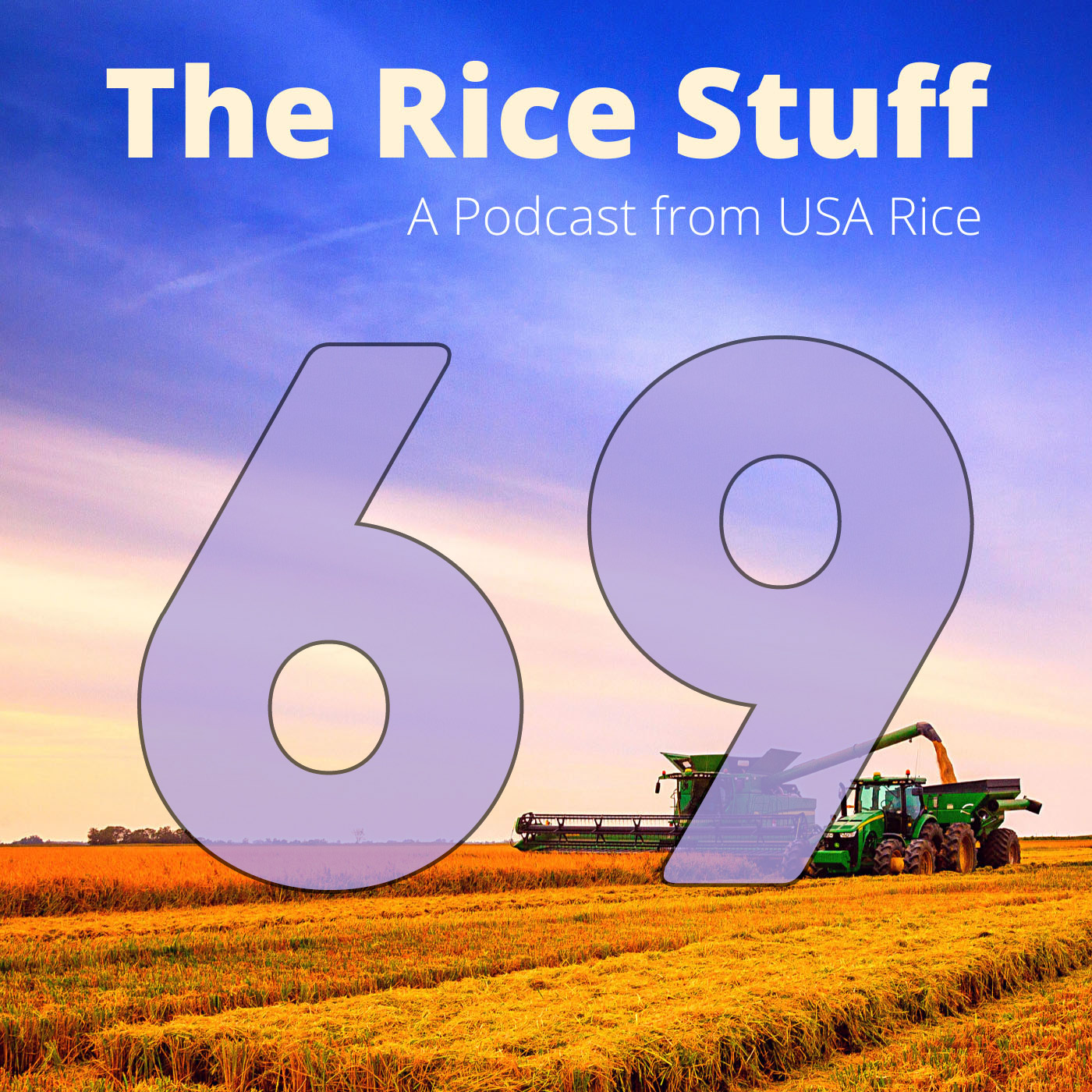 The Rice Stuff