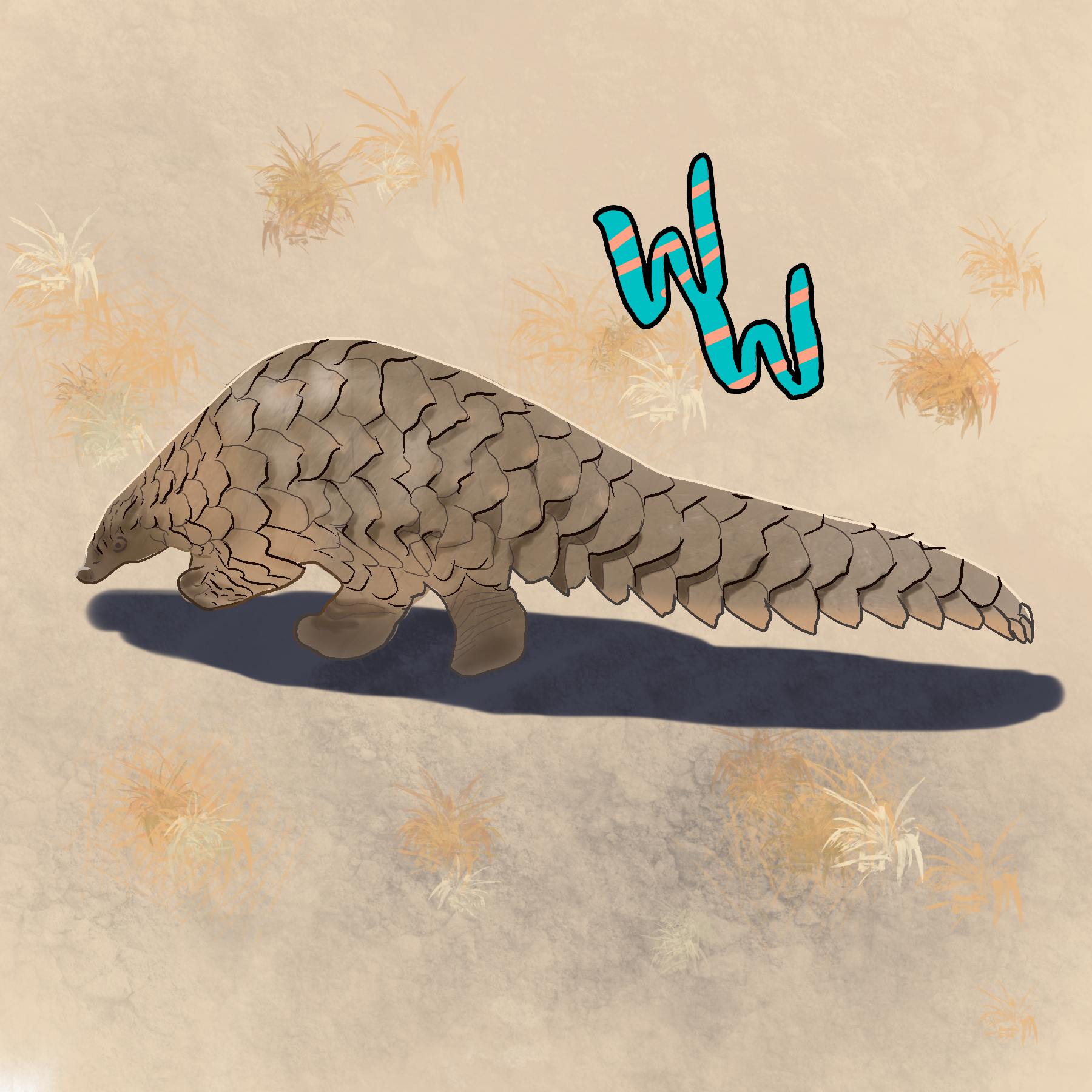 Pangolin
