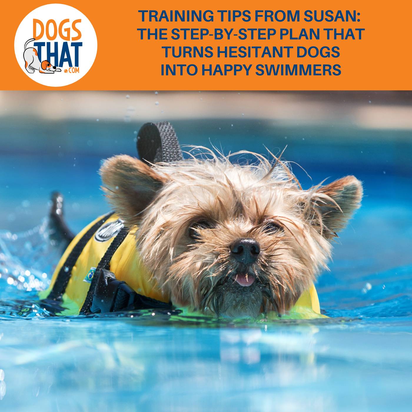 Training Tips From Susan: The Step-by-Step Plan That Turns Hesitant Dogs Into Happy Swimmers