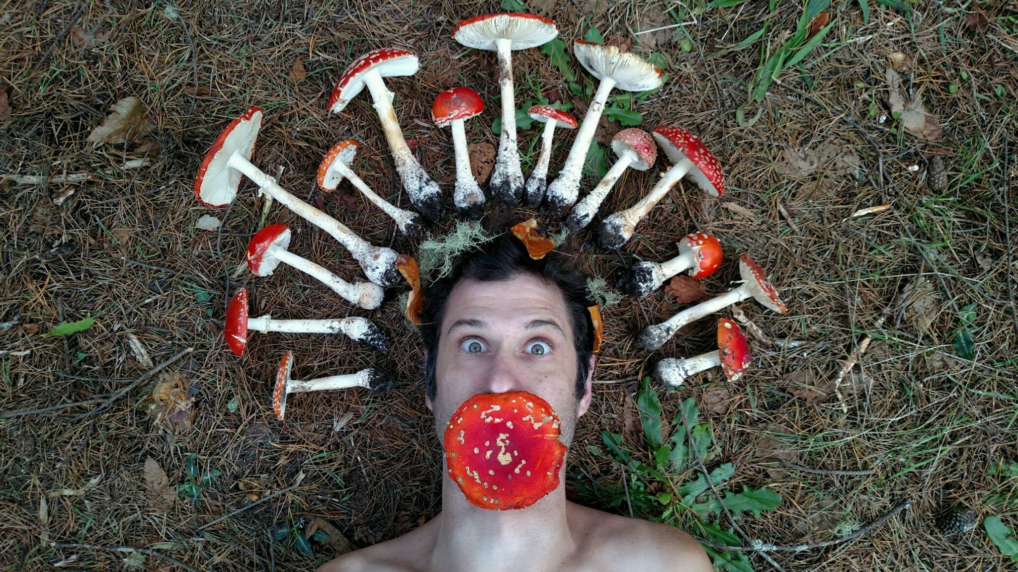 Ep. 89.  Tom Hatsis:  Spirit Plants/Magical Practices/Ecstatic States