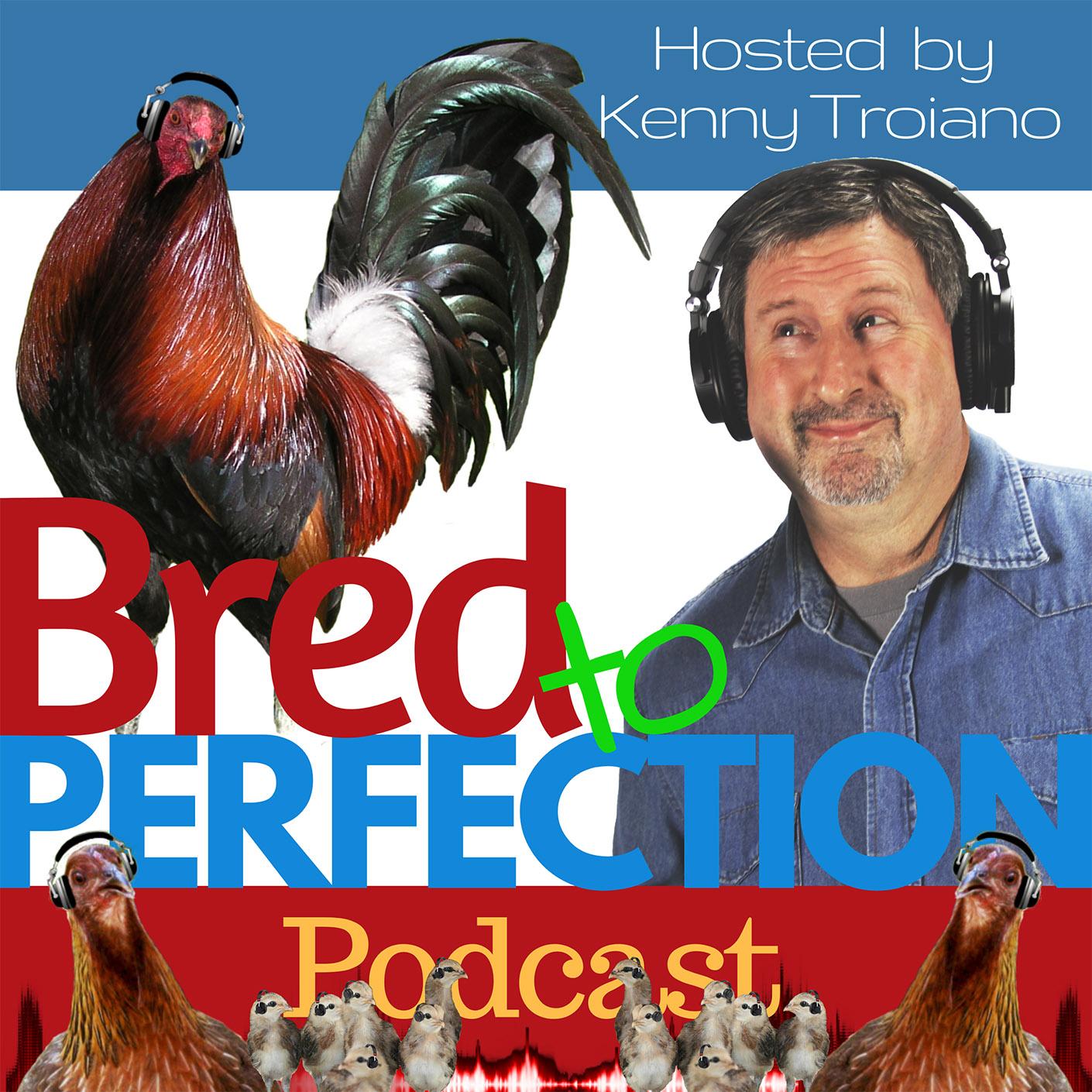 Ep6 - Are you a True Breeder? Why Not?
