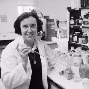 Babes of Science