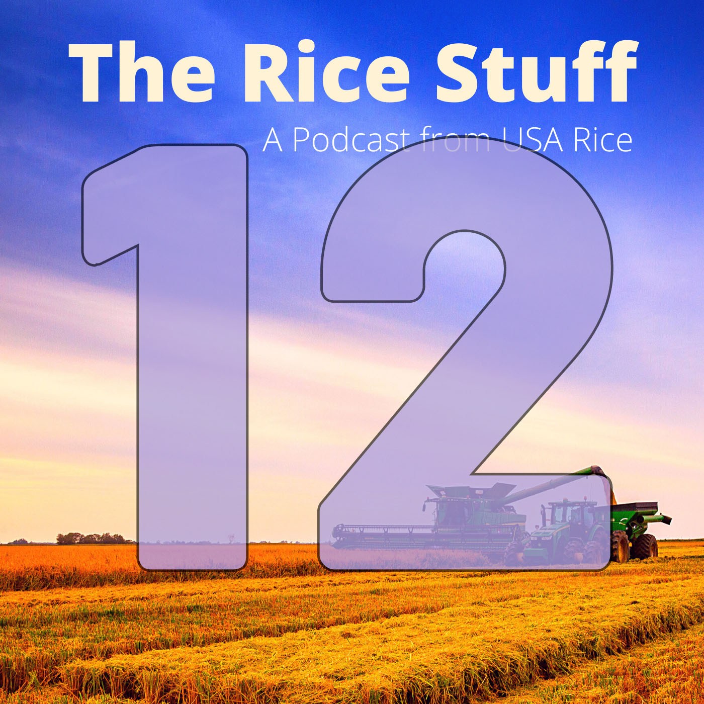 The Rice Stuff