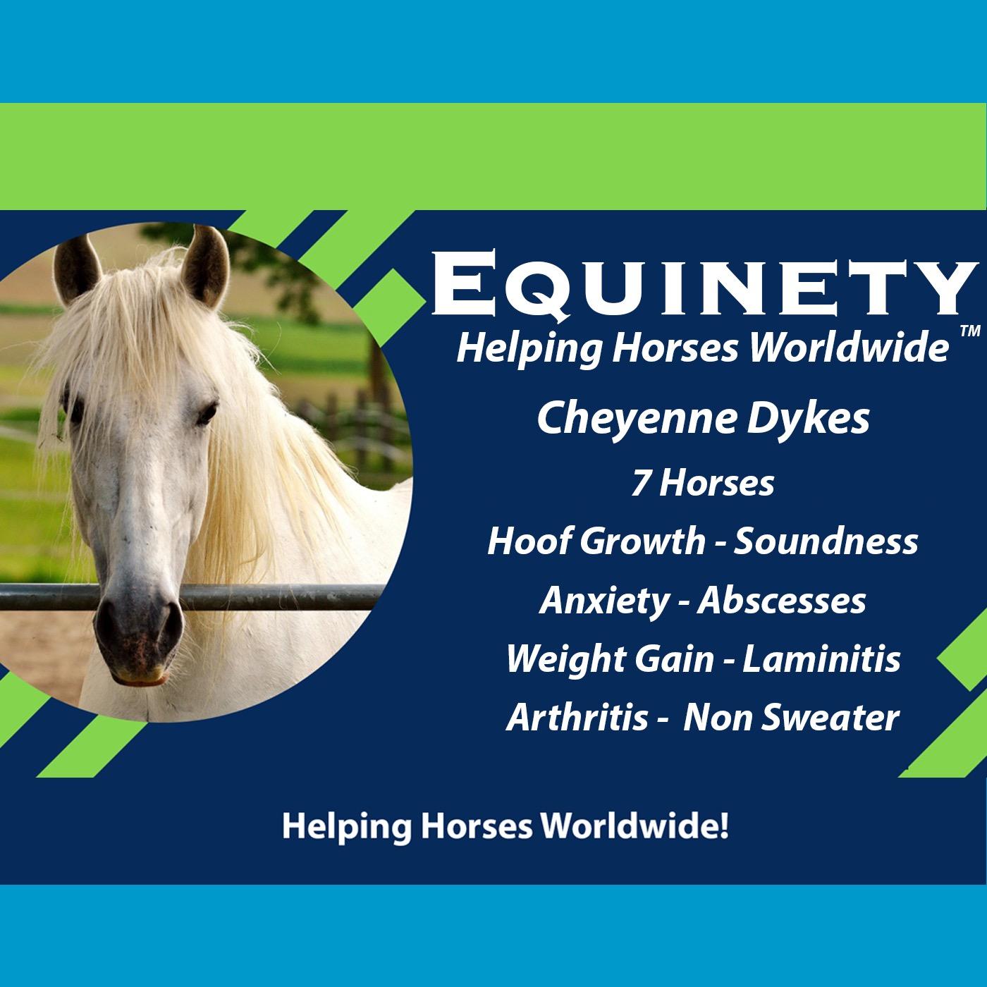 Team Equinety Podcast