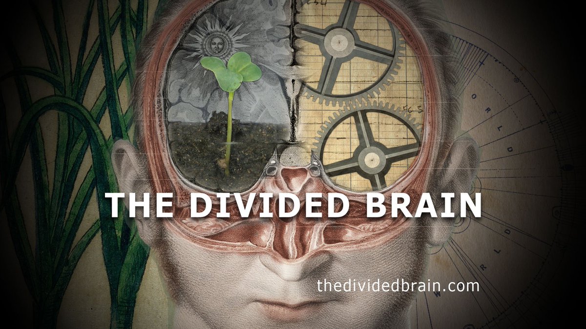 cover of episode Iain McGilchrist on Pandemics, The Divided Brain, Physics, Morphic Fields, and Rene Girard