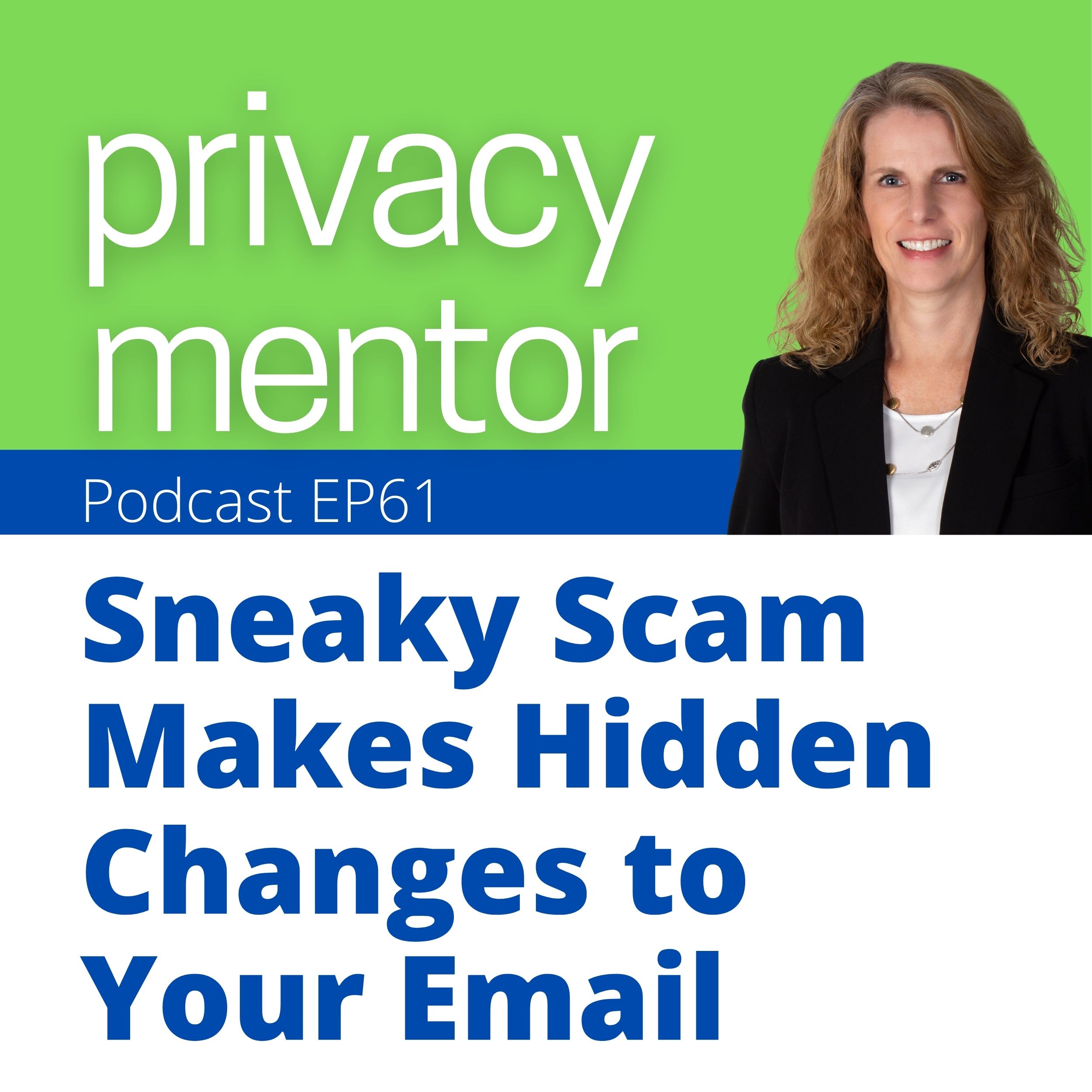 Privacy Mentor with Carrie Kerskie