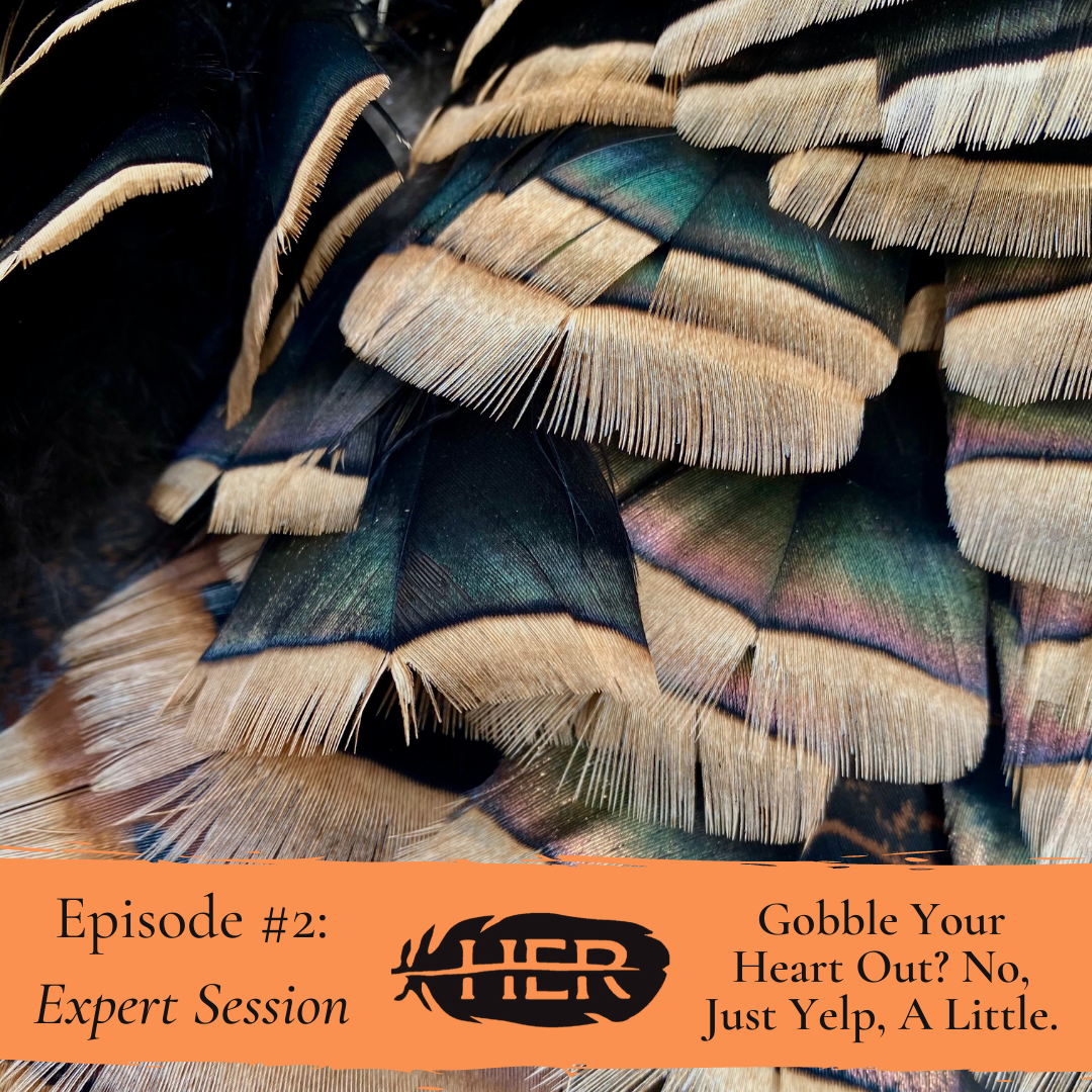 #2| Gobble Your Heart Out? No, Just Yelp, A Little