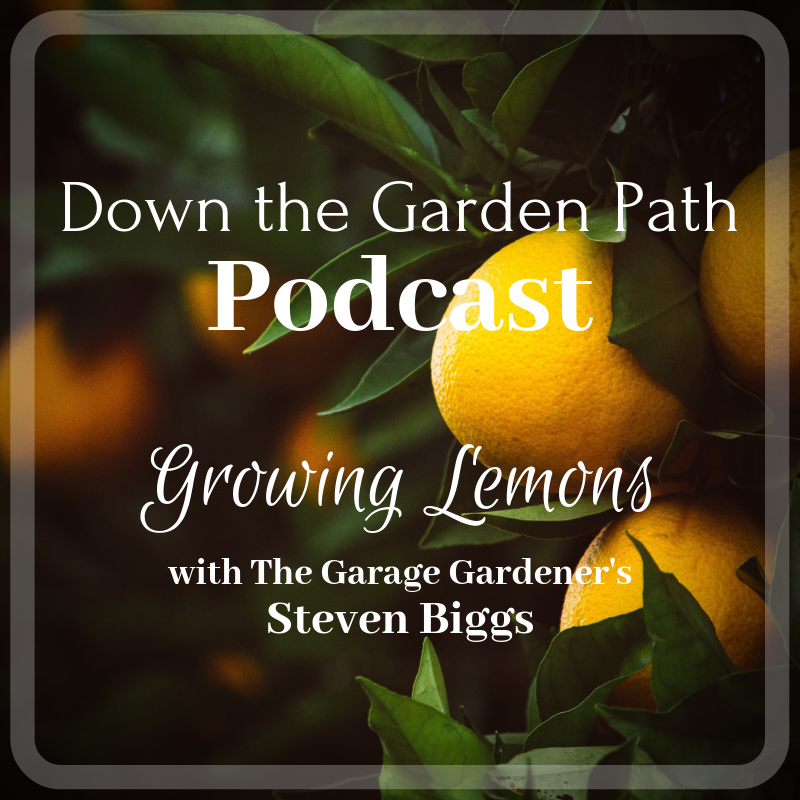 Down The Garden Path Podcast