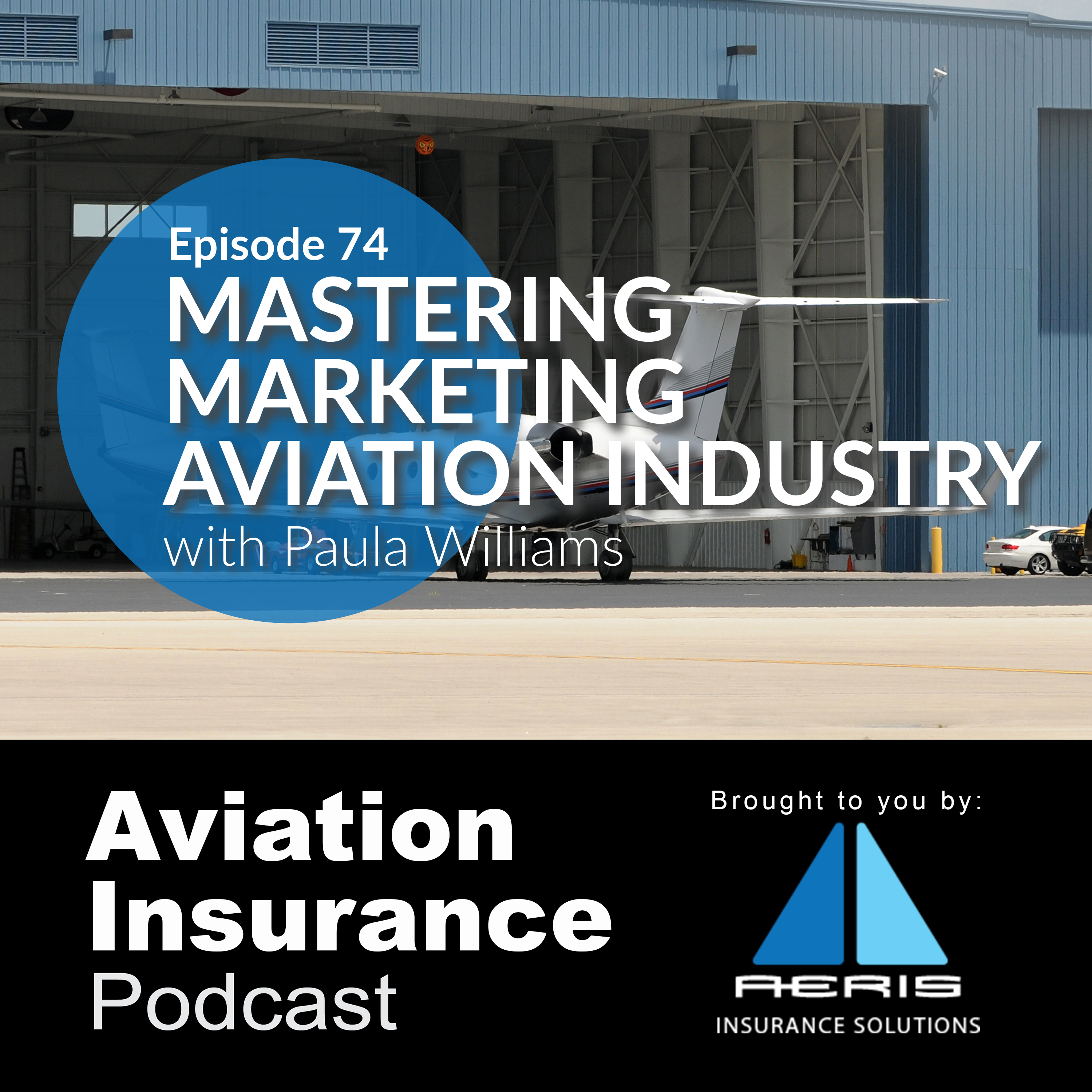Episode 74: Paula Williams on Mastering Marketing in the Aviation Industry