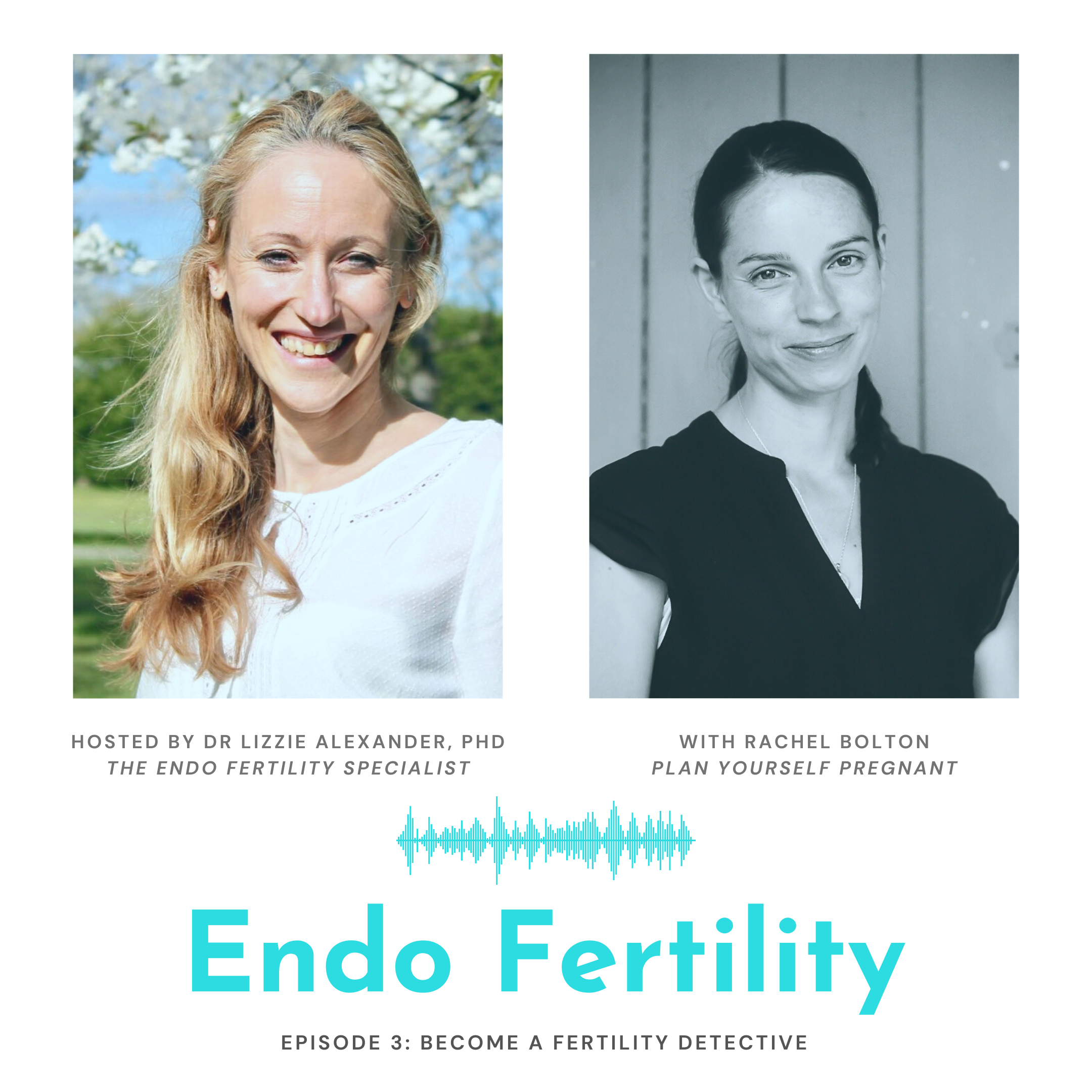 Endo Fertility