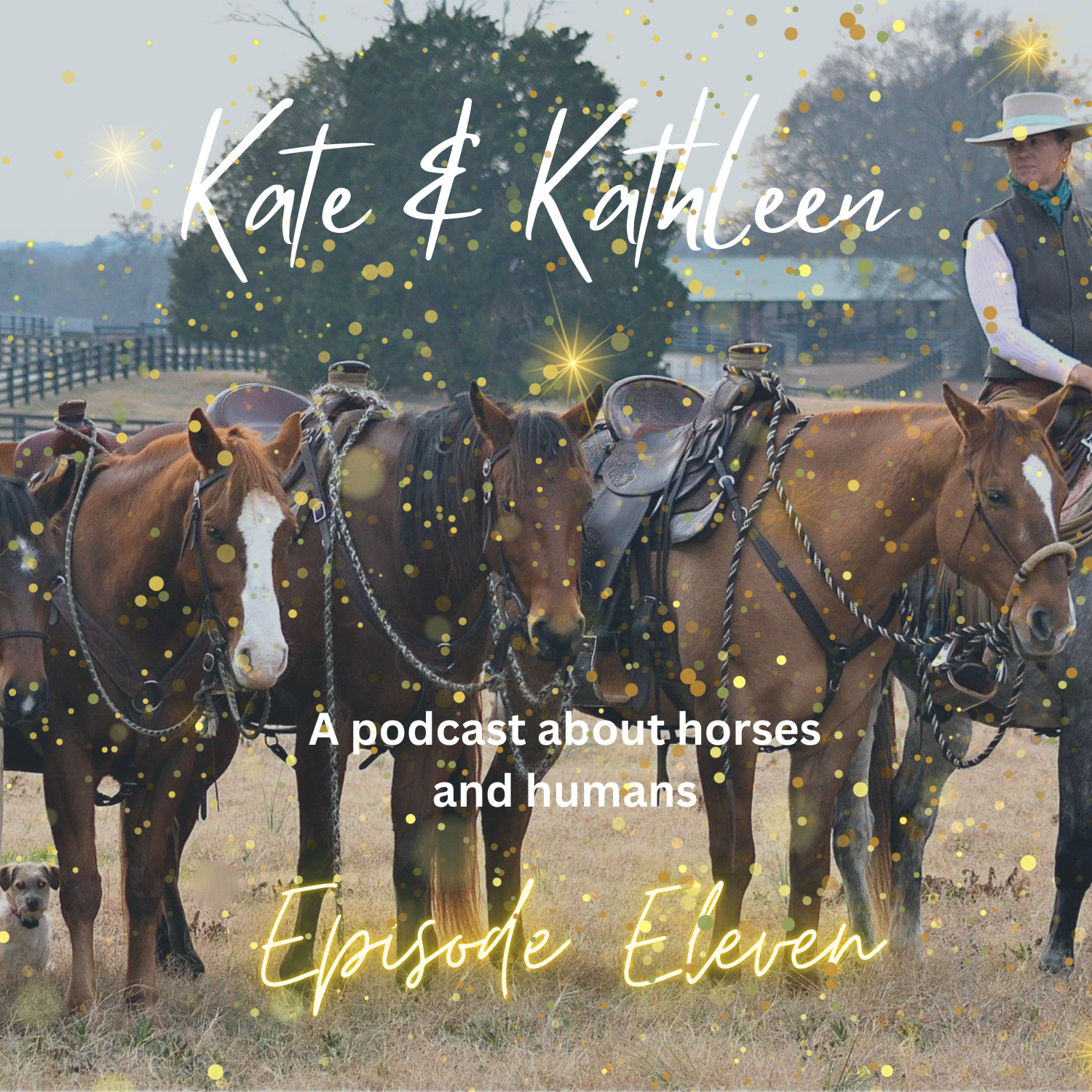 Kate and Kathleen - A podcast about humans and horses