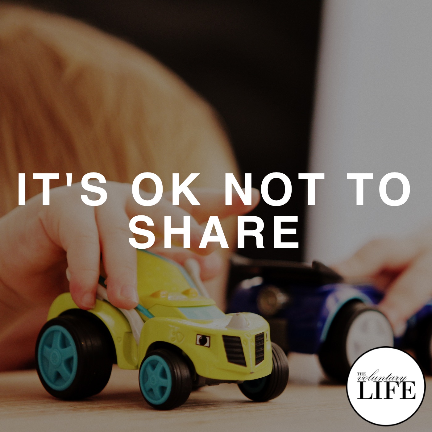 The Voluntary Life