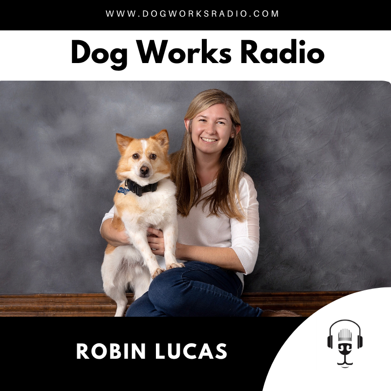 Inside Rebel Rescue: Saving Jindo Dogs and Shaping Korea's Future with Dogs