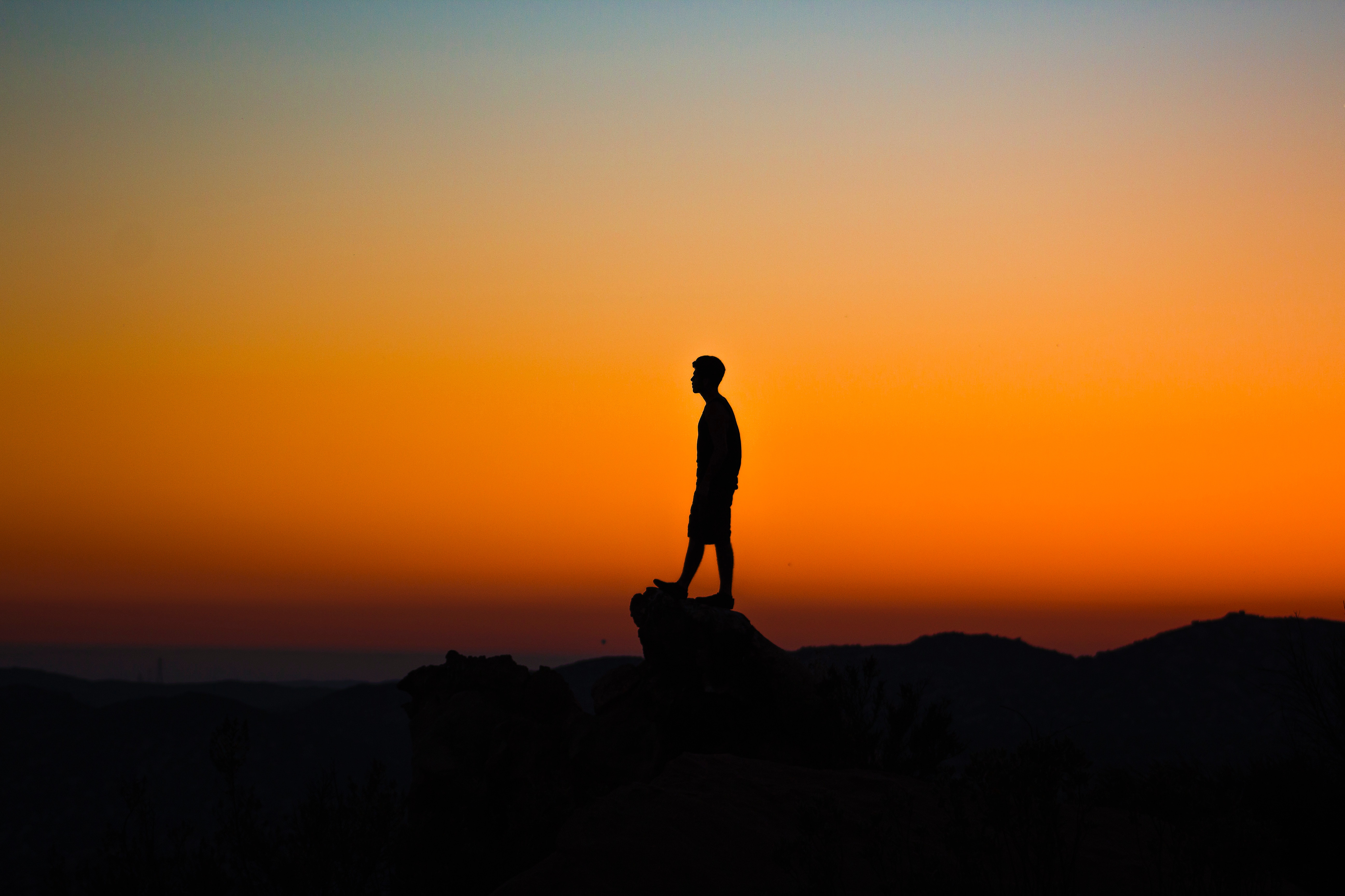 The Introverted Advocate