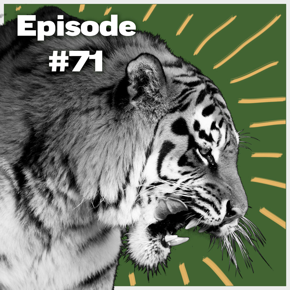 India's wildlife conflict problem – FieldsportsChannel Podcast, episode 71