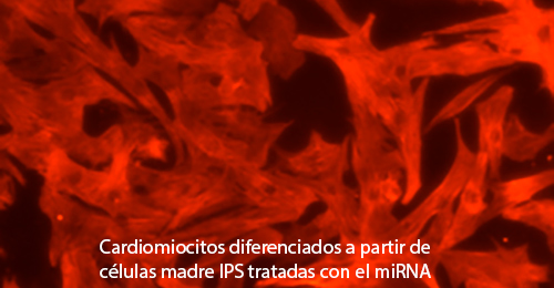 Cienciaes.com