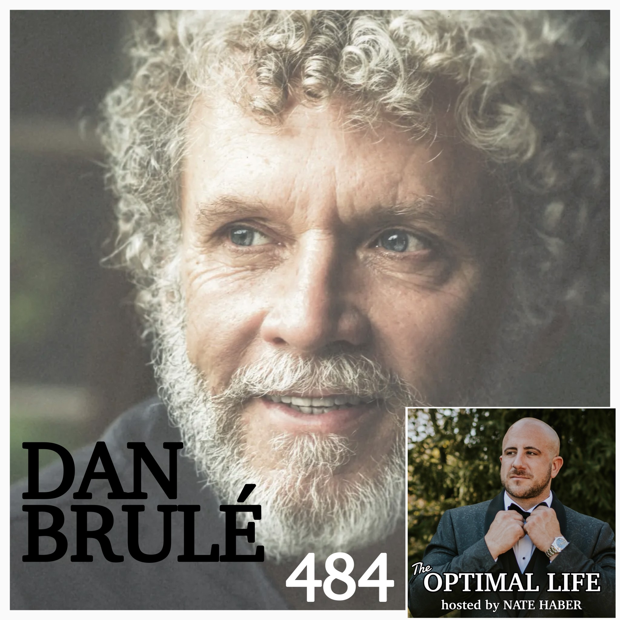 484. Dan Brulé :: How Breathwork Can Radically Improve Your Life