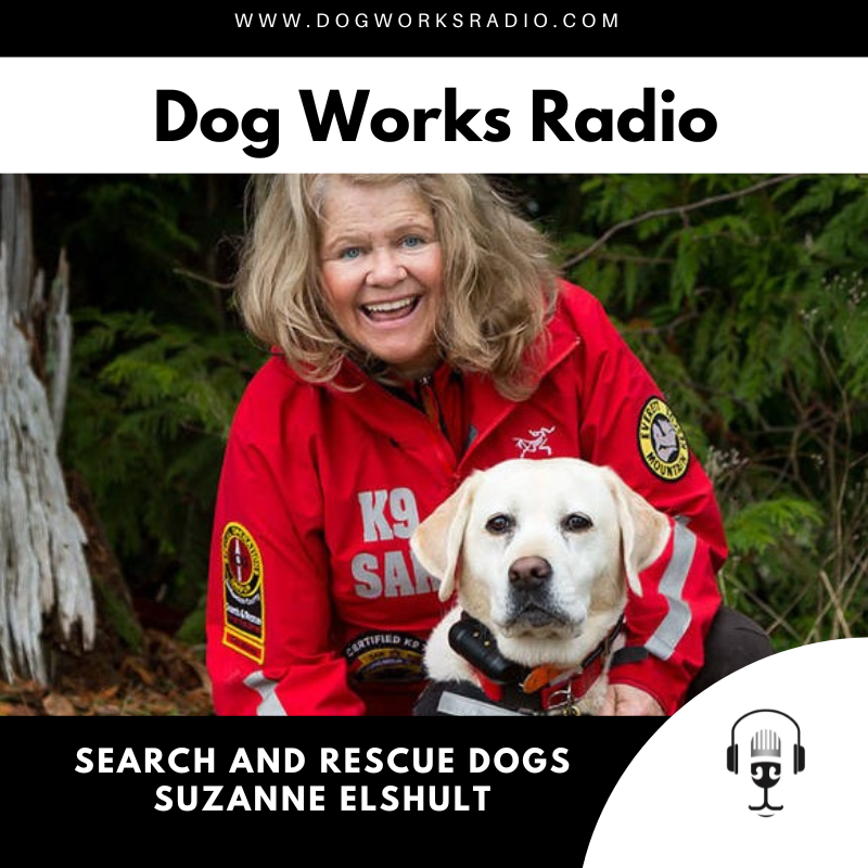 Dog Works Radio