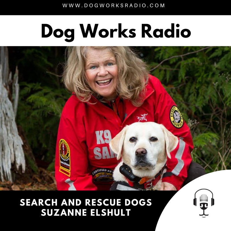 Search and Rescue Dogs with Suzanne Elshult