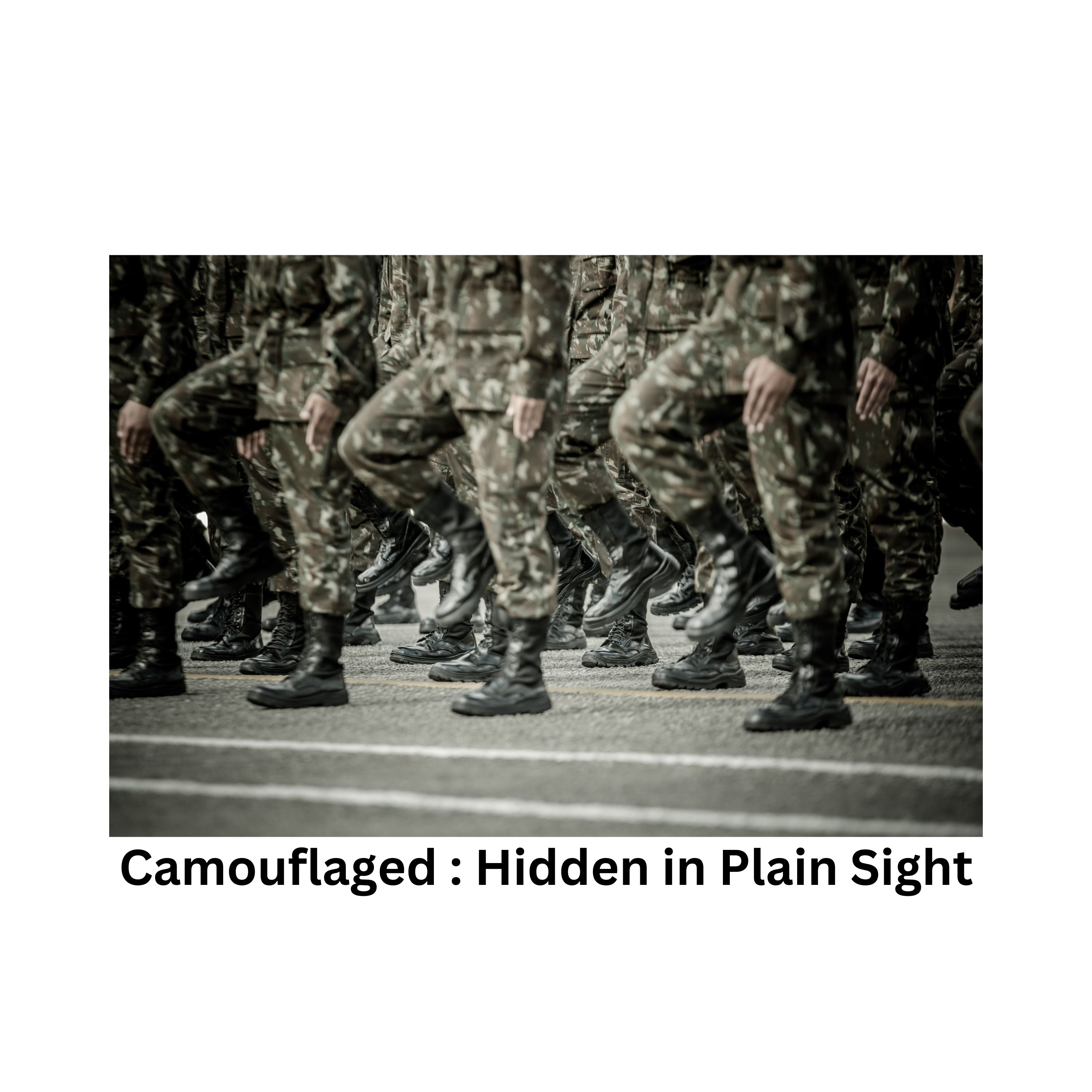Camouflaged: Hidden in Plain Sight, ep 1