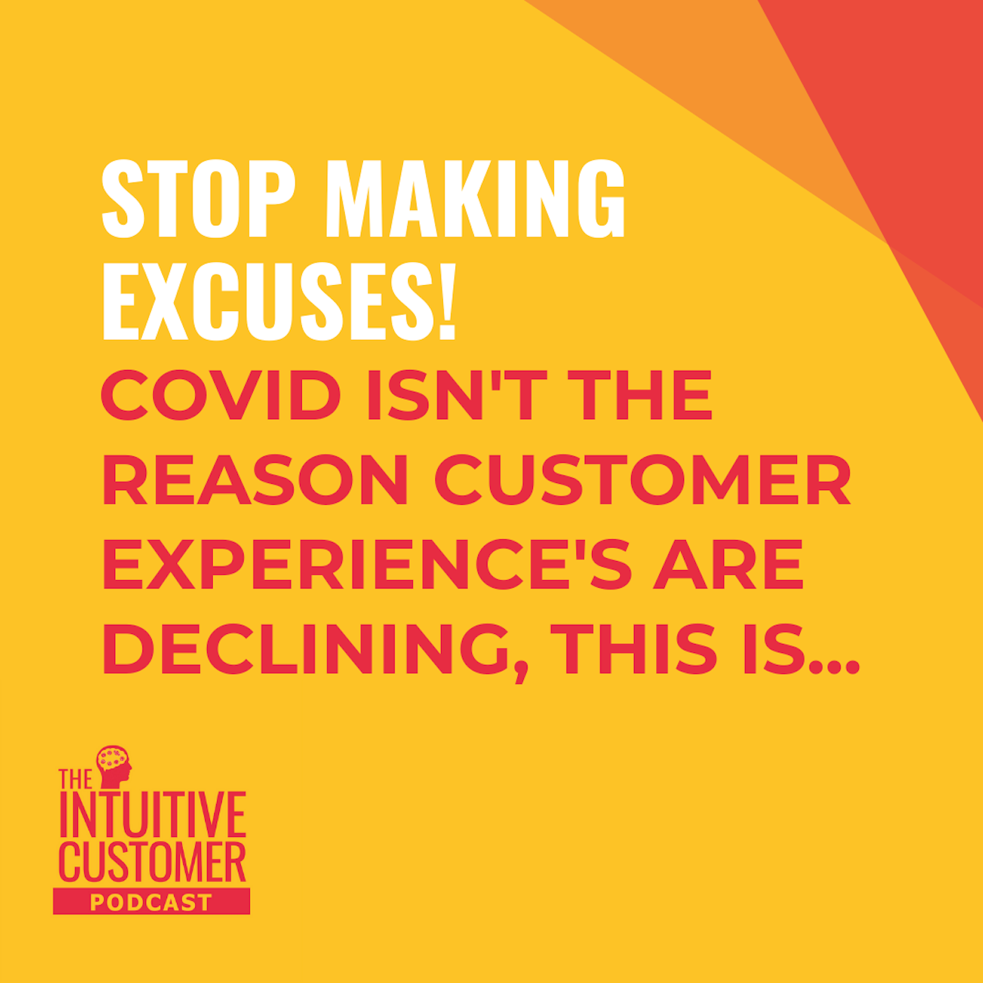 The Intuitive Customer - Helping You Improve Your Customer Experience To Gain Growth