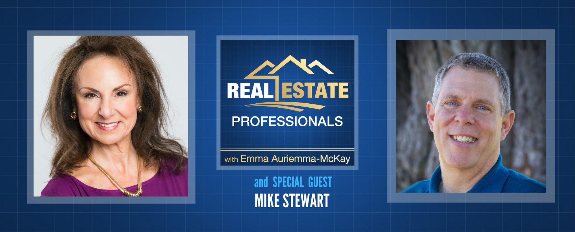 Real Estate Professionals - Property Sales Tactics for Realtors