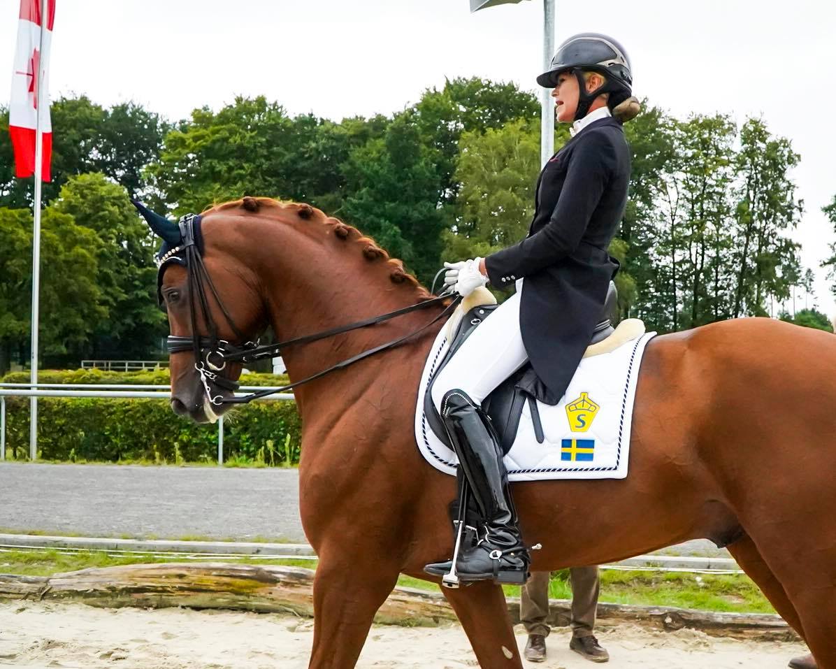 SWB Podden