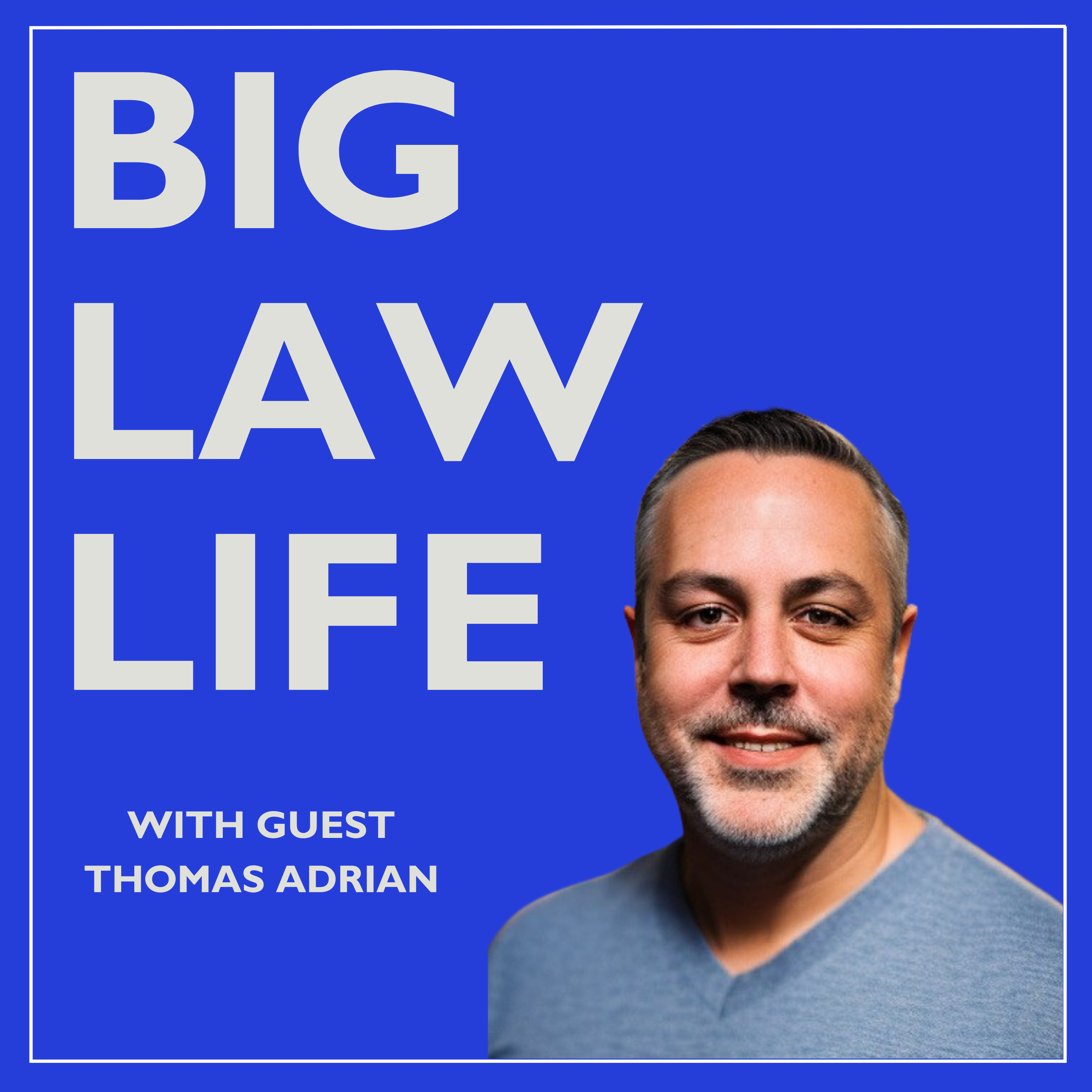 Big Law Life