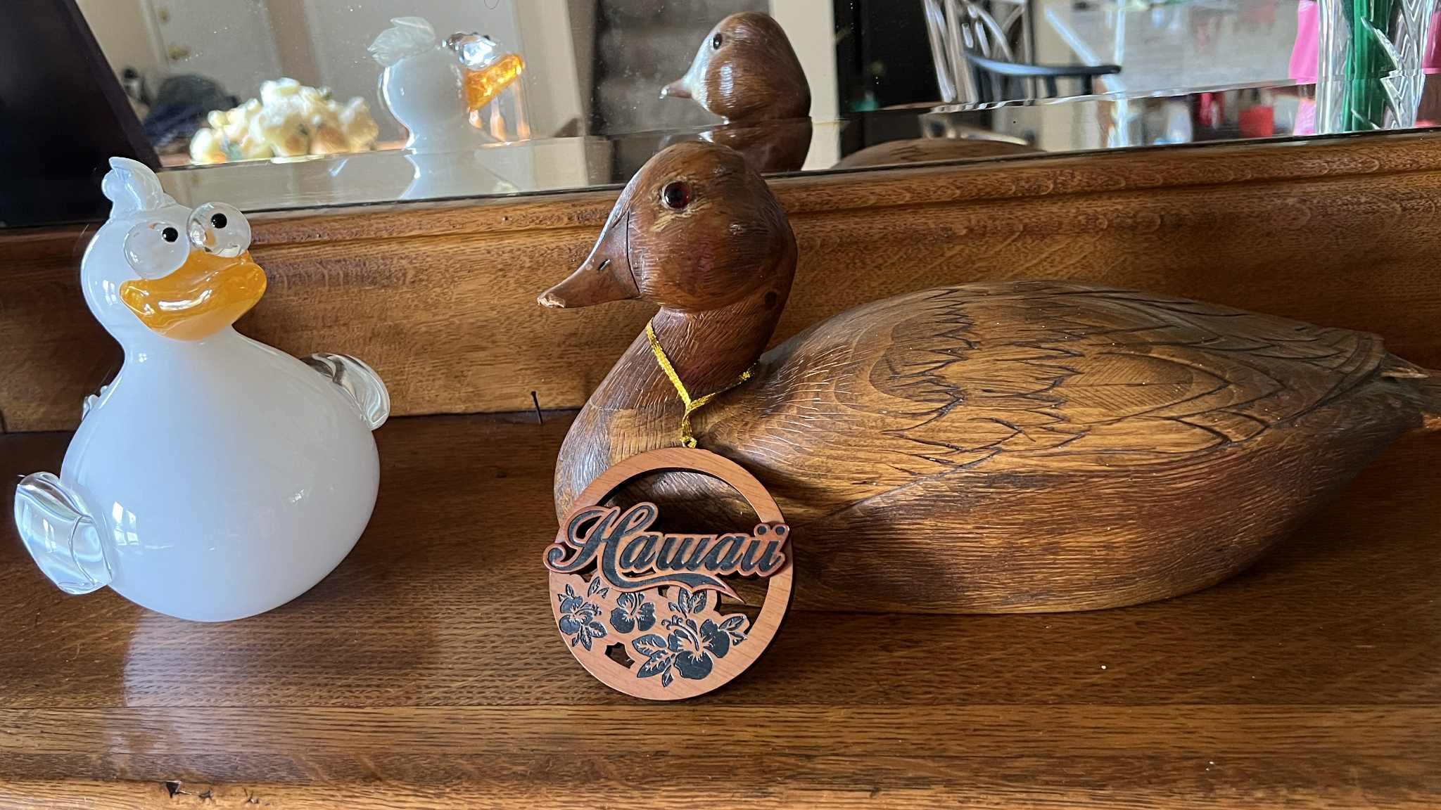 MD 134 Duck of a Different Color