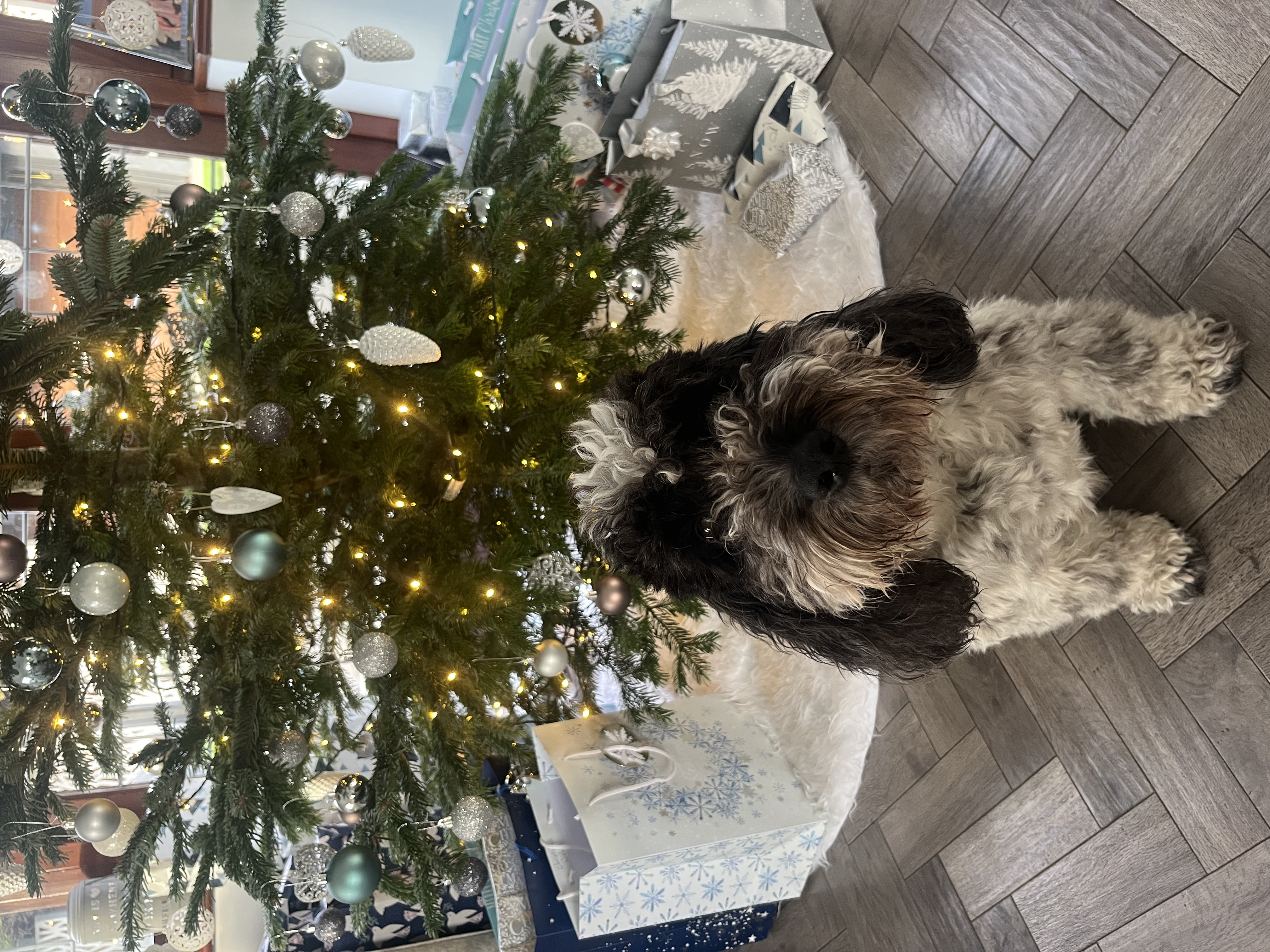 #189 : PreChristmas Jolly - Funky Disco & House Vibes - 19th December 2024