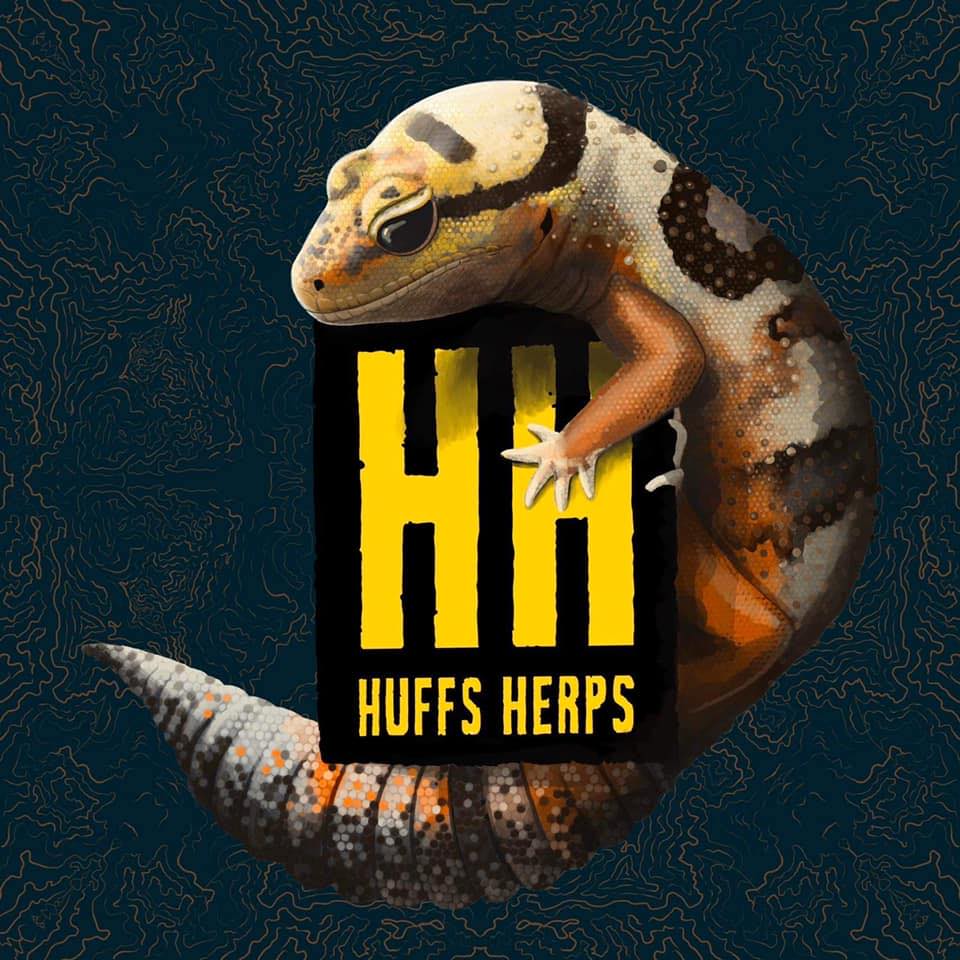 Session Nineteen: Everything African Fat Tail Geckos With Seth Hoffpauir