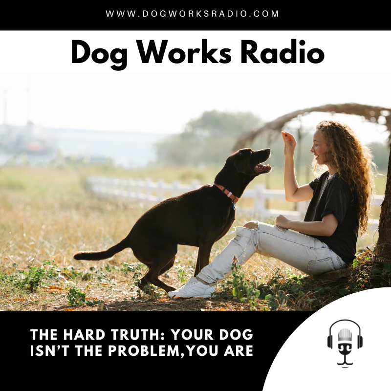 The Hard Truth: Your Dog Isn’t the Problem, You Are