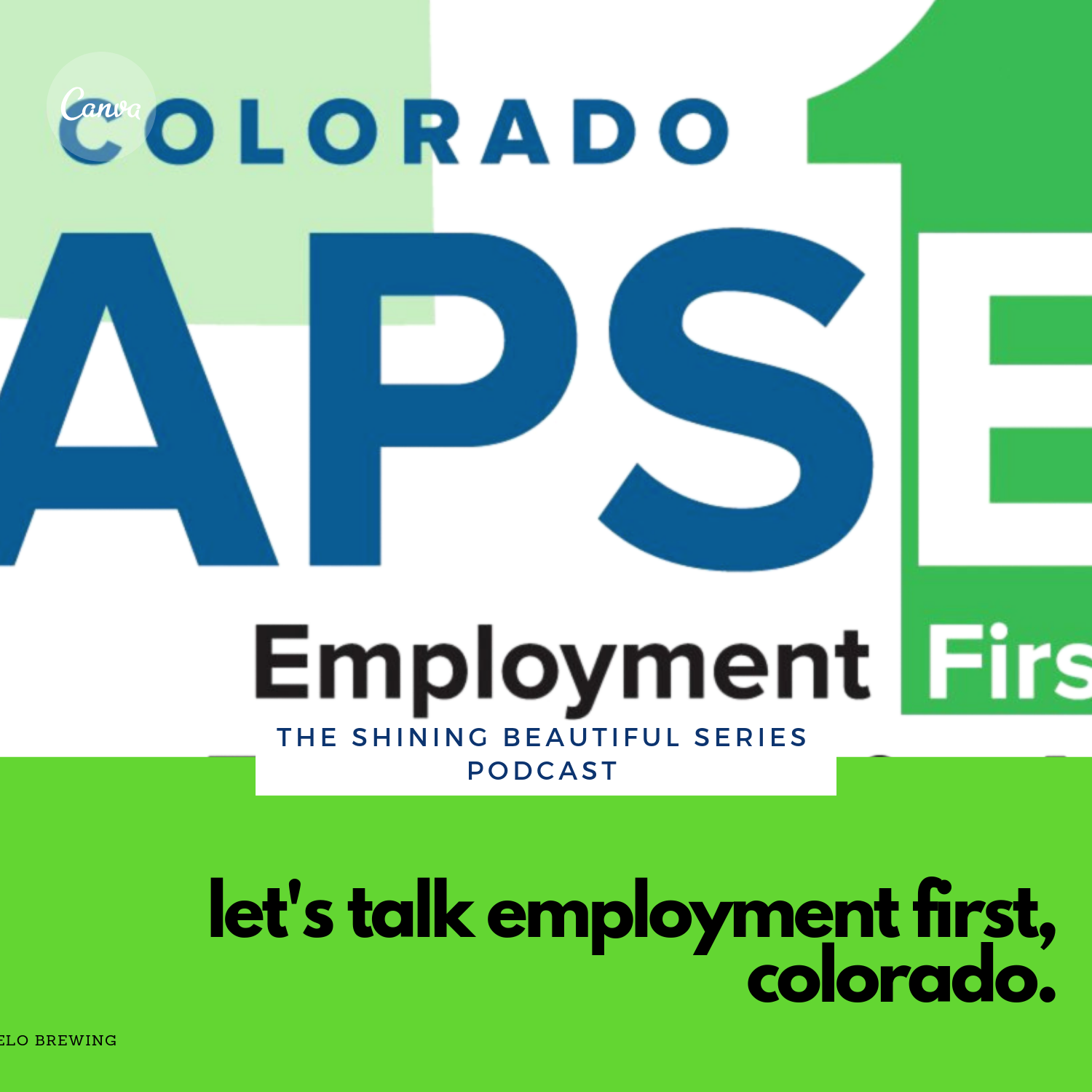 Let's Talk Employment First with the Colorado APSE Chapter