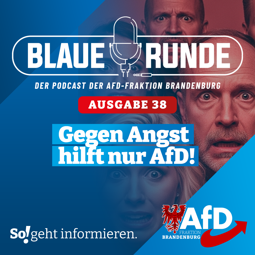 Gegen Angst hilft nur AfD! | Die Blaue Runde, Ausgabe 38/25 vom 16. Juni 2025