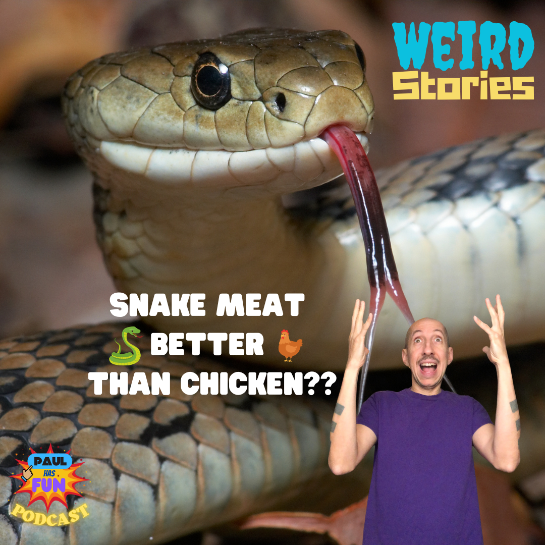 WEIRD STORIES October 2024-Snake Meat Can Replace Chicken and More!