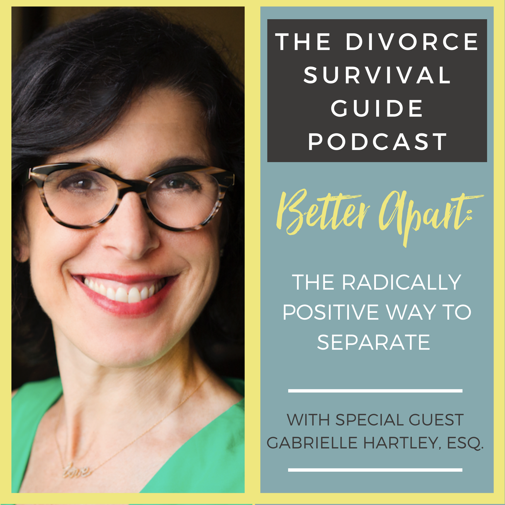 The Divorce Survival Guide Podcast