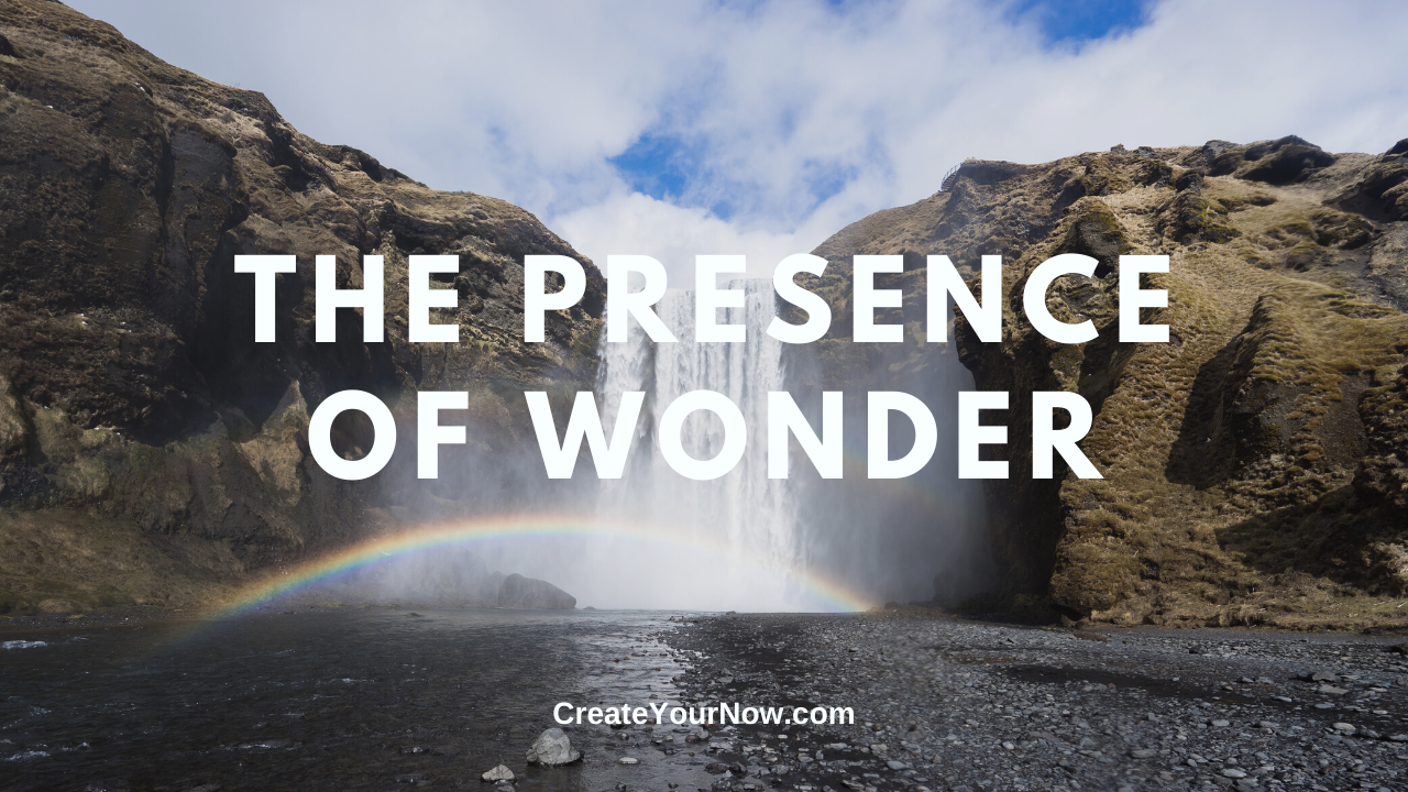 1870 The Presence of Wonder