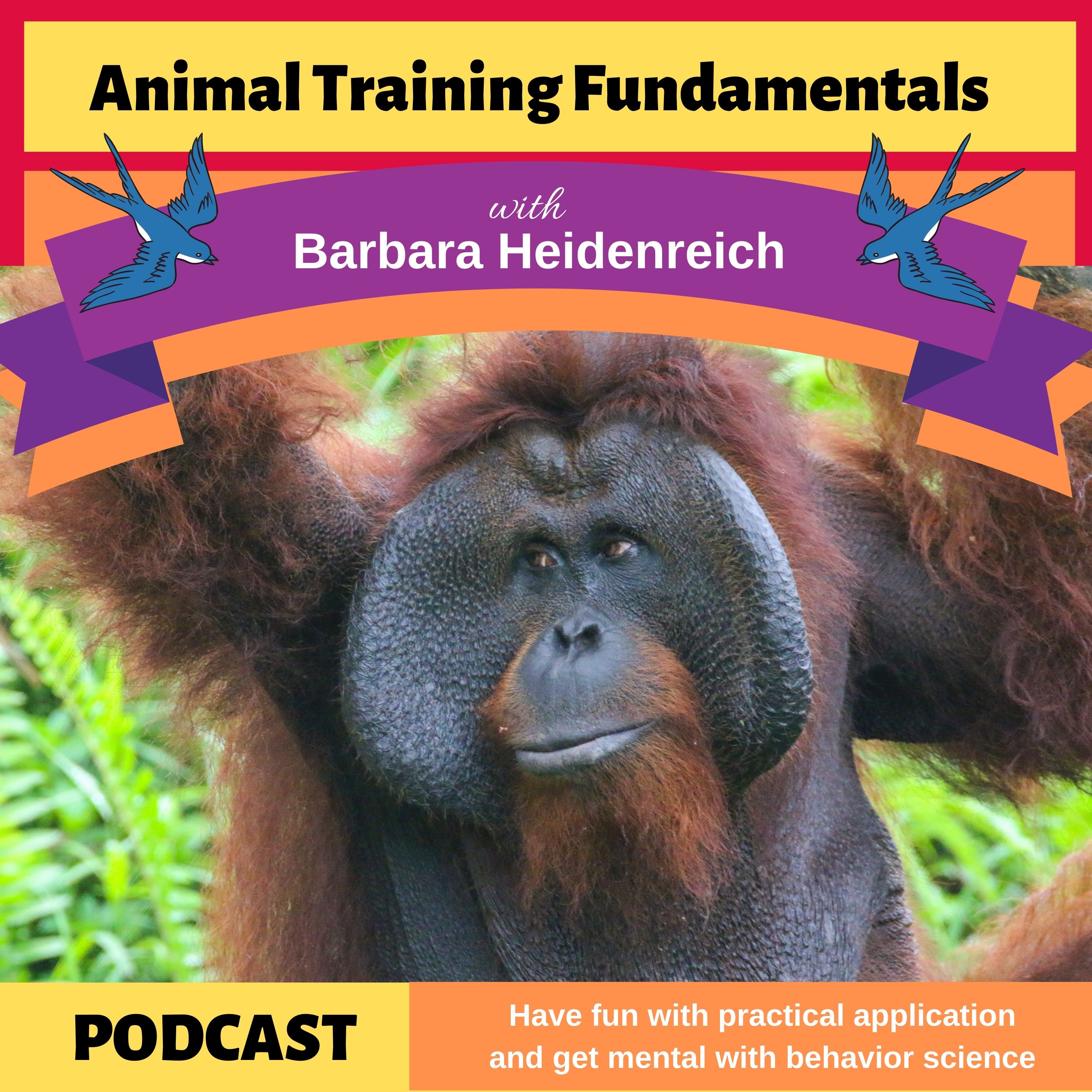 Animal Training Fundamentals with Barbara Heidenreich