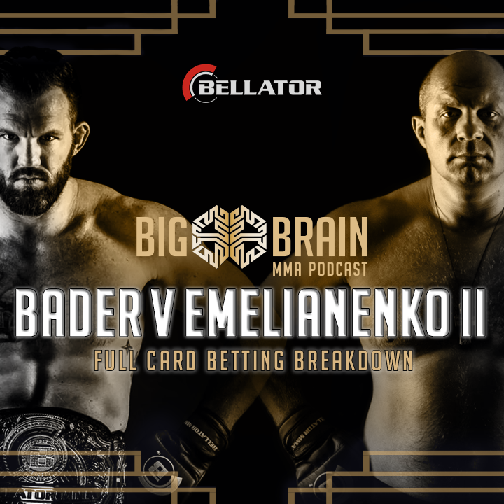Big Brain MMA Podcast