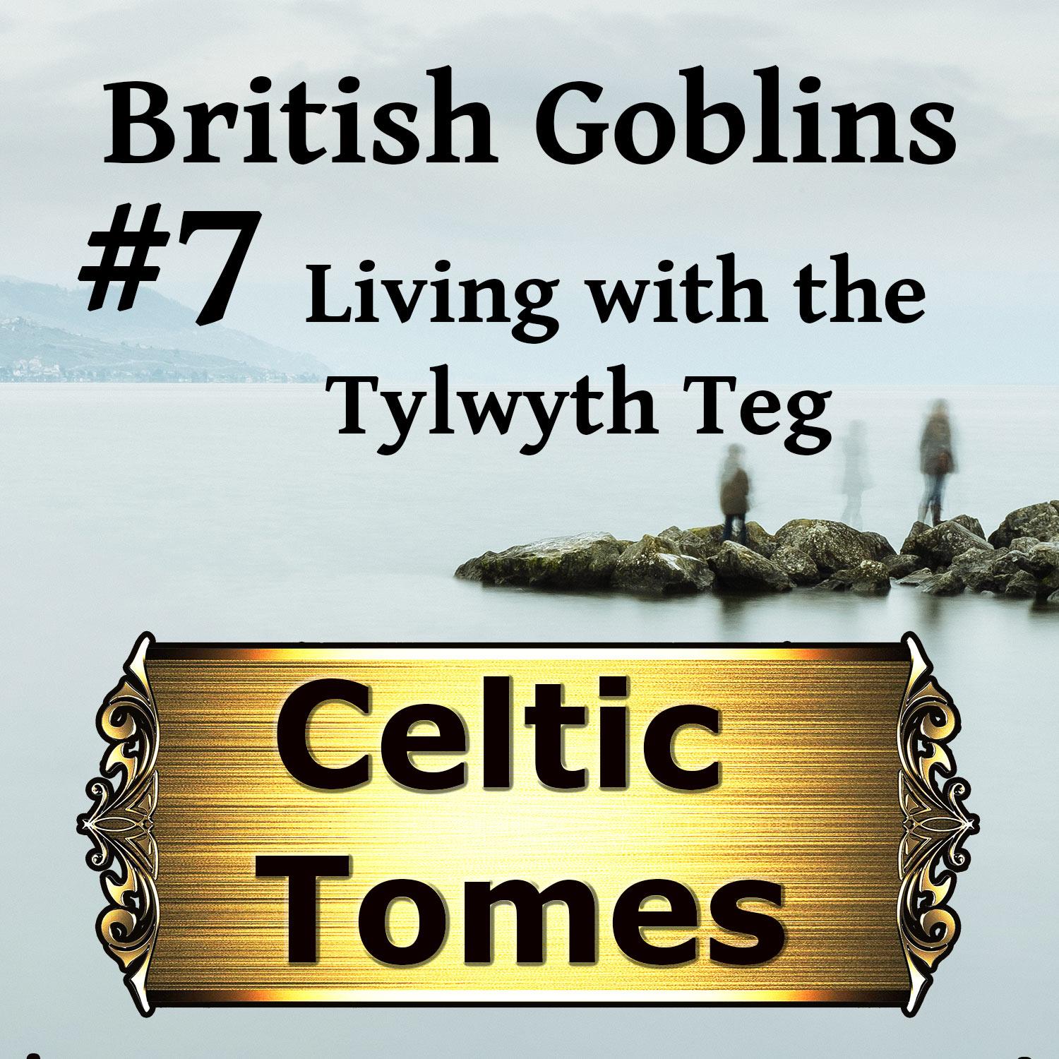 Celtic Tomes